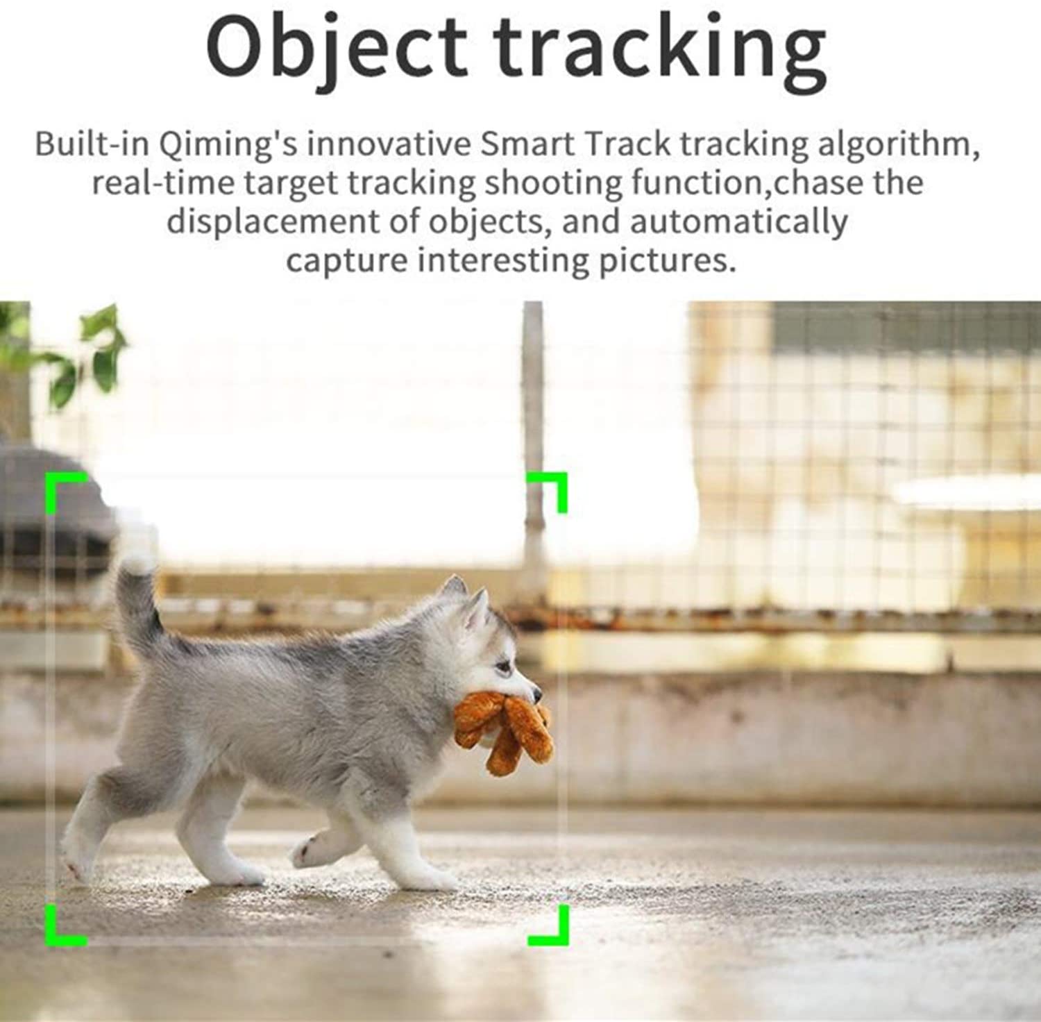 حامل سيلفي محمول والتتبع التلقائي حامل سيلفي محمول والتتبع التلقائي إلكترونيات و اكسسوارات حامل سيلفي محمول والتتبع التلقائي حامل سيلفي محمول والتتبع التلقائي إلكترونيات و اكسسوارات